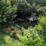 Country cottage garden after renovation