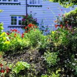 Country cottage garden after renovation