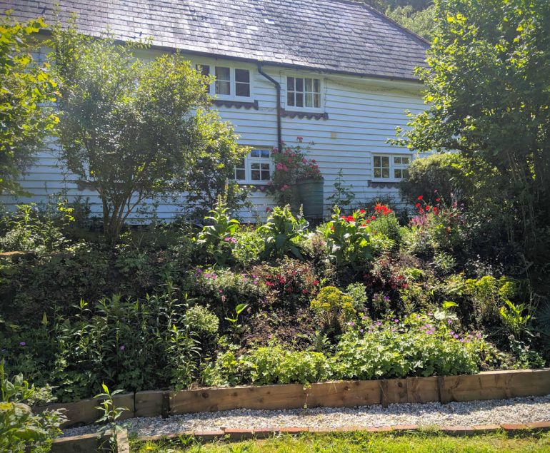 Country cottage banked front garden in bloom