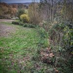 Large country boundary area cleared of brambles