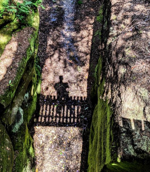 Shadow of a gardener standing on a bridge