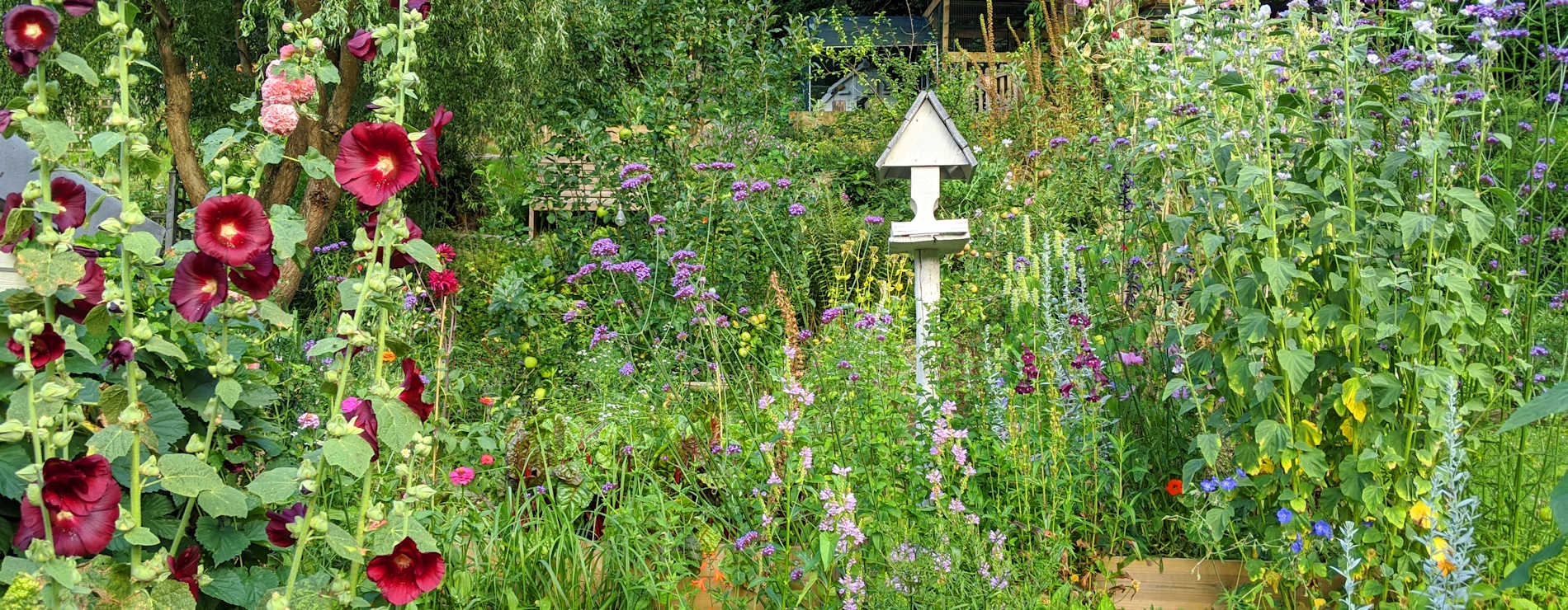 Country Cottage Garden