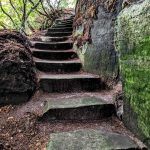 Stone stairs after leaves cleared